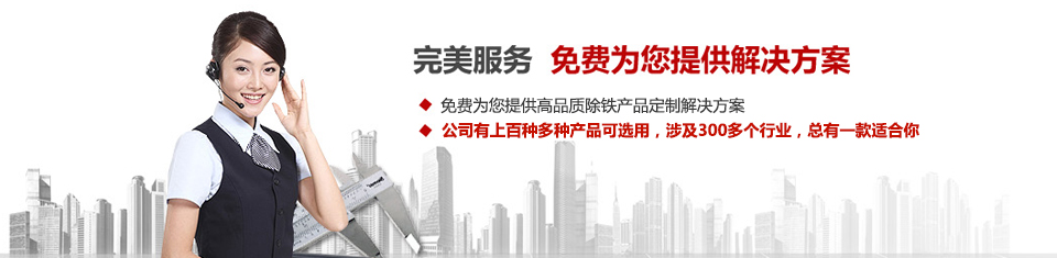 远力磁电，专注爱游戏ayx官方网页-爱游戏(中国)和除铁器设备的设计、生产及销售